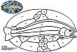 rainbow_trout_free_pattern.jpg
